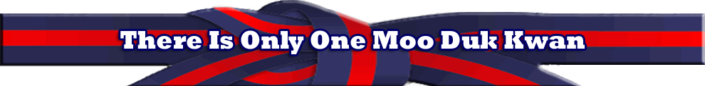 There Is Only One Moo Duk Kwan